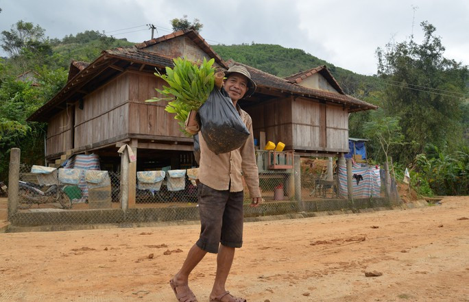Chuyện giảm nghèo ở Đắk Pao - Ảnh 4. Nhờ bỏ được rượu, người dân ở Đắk Pao đã tích cực lao động, xây dựng nhà cửa khang trang hơn