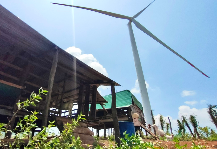 Gia đình bà Phạm Thị Hòa (thôn Phú Bình, xã Ia Le) có nhà cửa, chuồng trại chăn nuôi, đất canh tác nằm trong phạm vi ảnh hưởng của trụ tháp gió. Ảnh: M.N