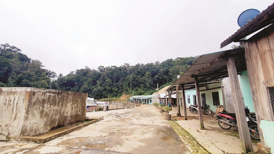 Hơn hai mươi hộ đã được bố trí ổn định chỗ ở tại làng Ong. Ảnh: C.Q Hơn hai mươi hộ đã được bố trí ổn định chỗ ở tại làng Ong. Ảnh: C.Q