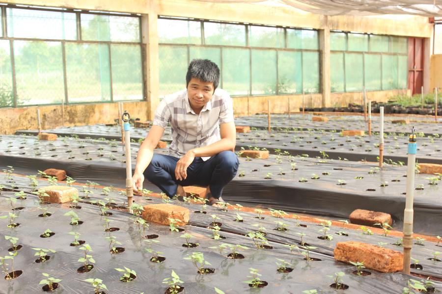 Hệ thống tưới phun mưa tại vườn ươm Trung tâm Nghiên cứu Giống cây trồng Gia Lai. Ảnh: N.D Hệ thống tưới phun mưa tại vườn ươm Trung tâm Nghiên cứu Giống cây trồng Gia Lai. Ảnh: N.D