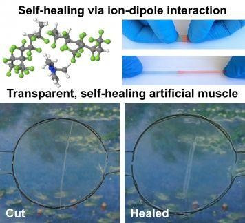 Hình ảnh khả năng &quot;tự chữa lành màn hình&quot;. Ảnh: The Telegraph