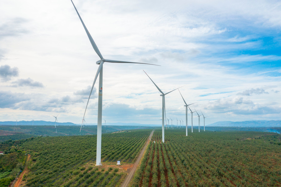 Do chưa có quy định, hướng dẫn cụ thể của cơ quan nhà nước có thẩm quyền nên nhiều chủ đầu tư dự án điện gió đang gặp khó khăn trong việc xác định giá bồi thường, hỗ trợ cho người dân. Ảnh: Phạm Quý