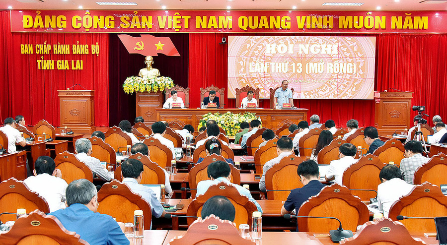 Quang cảnh hội nghị. Ảnh: Đ.T