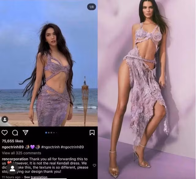 Ngọc Trinh từng bị nhãn hàng tố mặc đồ nhái nhưng không lên tiếng xin lỗi. Ảnh: TL