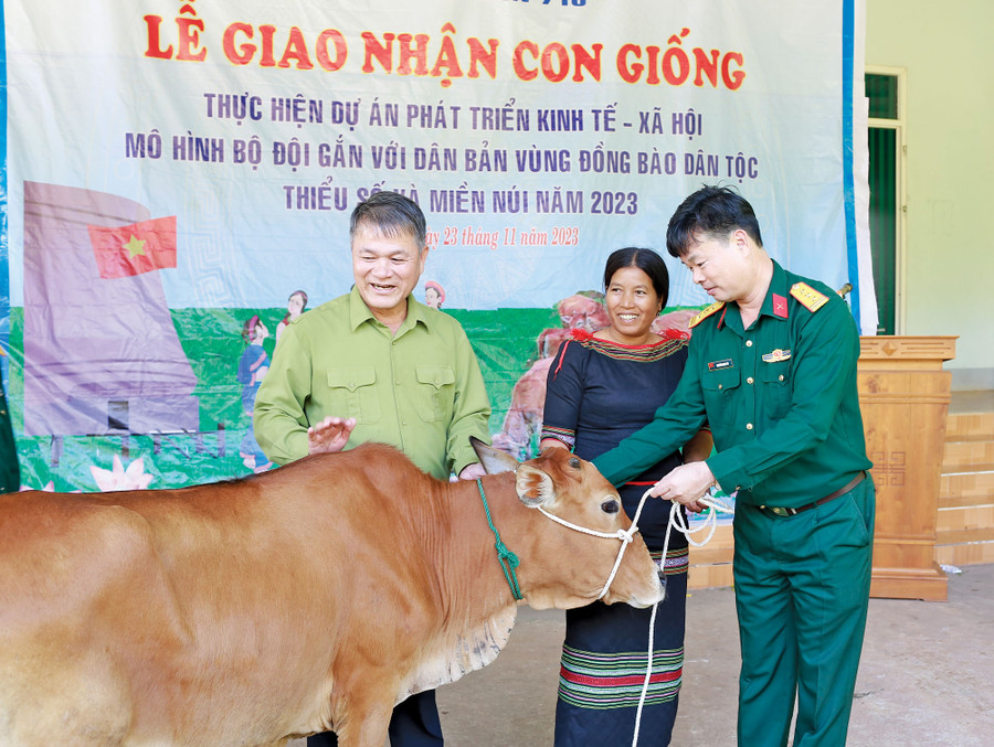 Trung đoàn 710 tặng bò cho người dân trên địa bàn biên giới. Ảnh: V.H Trung đoàn 710 tặng bò cho người dân trên địa bàn biên giới. Ảnh: V.H