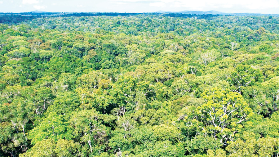 Vườn Quốc gia Kon Ka Kinh có diện tích gần 42 ngàn ha, trong đó vùng đệm rộng hơn 15 ngàn ha. Ảnh: M.P Vườn Quốc gia Kon Ka Kinh có diện tích gần 42 ngàn ha, trong đó vùng đệm rộng hơn 15 ngàn ha. Ảnh: M.P