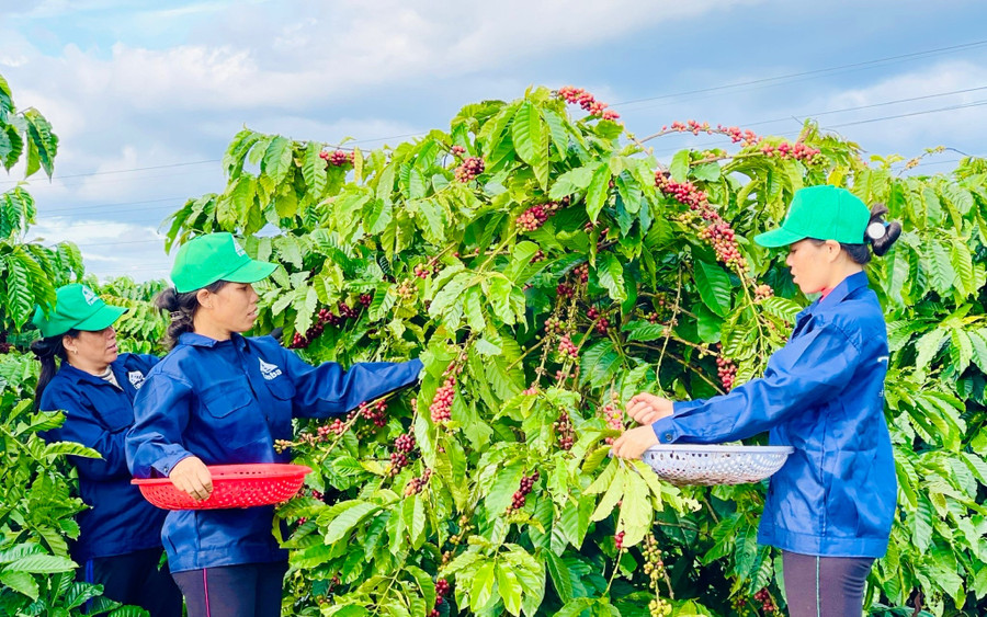 Hoạt động KH-CN và ĐMST đã tạo nền tảng tốt, khơi dậy tinh thần đam mê lao động sáng tạo, nghiên cứu khoa học trong mọi tầng lớp nhân dân. Ảnh: Trần Dung Hoạt động KH-CN và ĐMST đã tạo nền tảng tốt, khơi dậy tinh thần đam mê lao động sáng tạo, nghiên cứu khoa học trong mọi tầng lớp nhân dân. Ảnh: Trần Dung