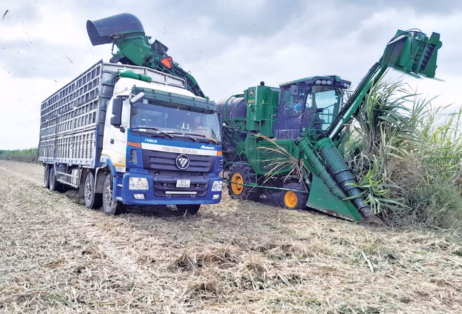 Cơ giới hóa khâu thu hoạch tại vùng nguyên liệu của AgriS Gia Lai. Ảnh: Nguyễn Lê