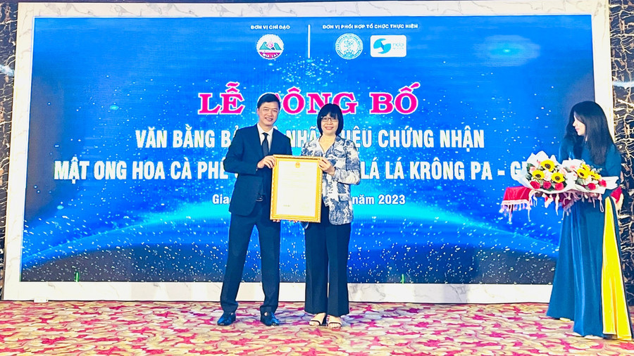 Phó Chủ tịch UBND tỉnh Nguyễn Thị Thanh Lịch đón nhận văn bằng bảo hộ cho sản phẩm “Mật ong hoa cà phê Gia Lai” và “Thuốc lá lá Krông Pa-Gia Lai”. Ảnh: T.D Phó Chủ tịch UBND tỉnh Nguyễn Thị Thanh Lịch đón nhận văn bằng bảo hộ cho sản phẩm “Mật ong hoa cà phê Gia Lai” và “Thuốc lá lá Krông Pa-Gia Lai”. Ảnh: T.D
