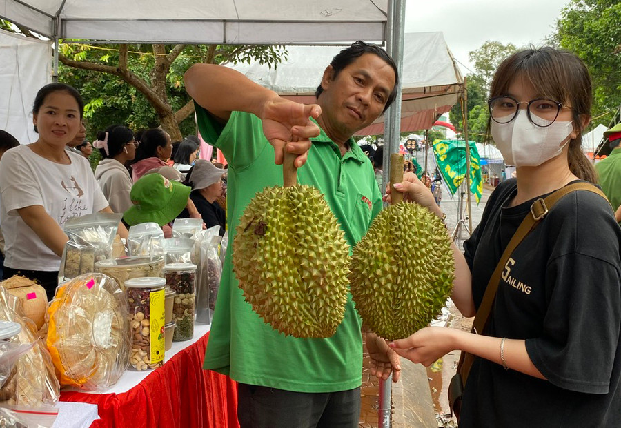Đức Cơ đang tập trung xây dựng nền nông nghiệp theo hướng tập trung, nâng cao giá trị sản phẩm nông sản đặc trưng. Ảnh: S.C Đức Cơ đang tập trung xây dựng nền nông nghiệp theo hướng tập trung, nâng cao giá trị sản phẩm nông sản đặc trưng. Ảnh: S.C