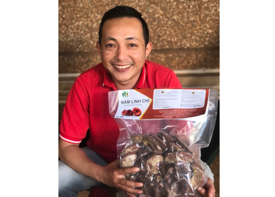 Dù sản phẩm nấm linh chi đỏ đạt OCOP 3 sao cấp tỉnh năm 2020 đã hết thời hạn chứng nhận nhưng anh Đoàn Công Tiến vẫn chưa quan tâm làm hồ sơ đăng ký, đánh giá lại. Ảnh: Q.T Dù sản phẩm nấm linh chi đỏ đạt OCOP 3 sao cấp tỉnh năm 2020 đã hết thời hạn chứng nhận nhưng anh Đoàn Công Tiến vẫn chưa quan tâm làm hồ sơ đăng ký, đánh giá lại. Ảnh: Q.T