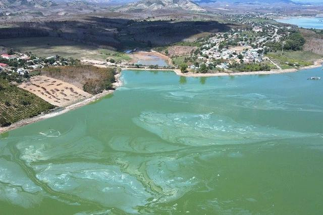 Nước hồ Ya Ly bất ngờ đổi màu, bốc mùi hôi thối