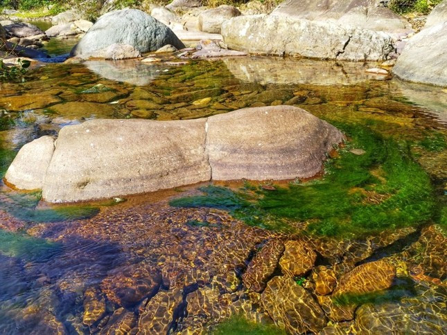 Suối có nhiều tảng đá là nơi mọc nhiều quẹ Suối có nhiều tảng đá là nơi mọc nhiều quẹ