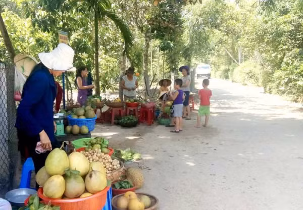 Các loại trái cây bản địa đặc trưng như bưởi trụ, sầu riêng, hường, cam, quýt... của nhiều hộ dân ở Đại Bình.