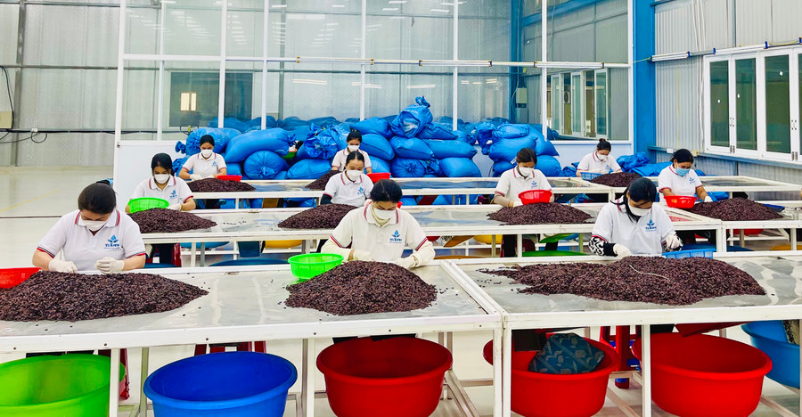 Các CCN đã thu hút nhiều dự án lớn, góp phần khai thác tốt tiềm năng, lợi thế về nguồn nguyên liệu của từng địa phương trong tỉnh. Ảnh: V.T Các CCN đã thu hút nhiều dự án lớn, góp phần khai thác tốt tiềm năng, lợi thế về nguồn nguyên liệu của từng địa phương trong tỉnh. Ảnh: V.T