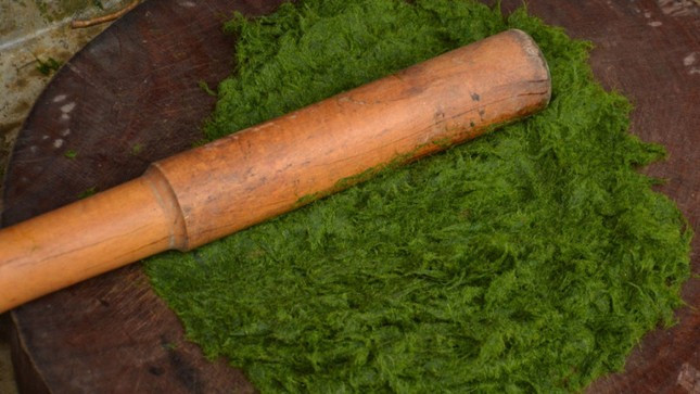 Quẹ được cán mịn để tiếp tục chế biến Quẹ được cán mịn để tiếp tục chế biến