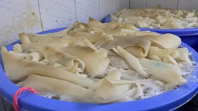 Khu vực ngâm, tẩy trắng bì heo trong cơ sở sản xuất bì H.V.V trong hẻm trên đường Hậu Giang (P.11, Q.6, TP.HCM)