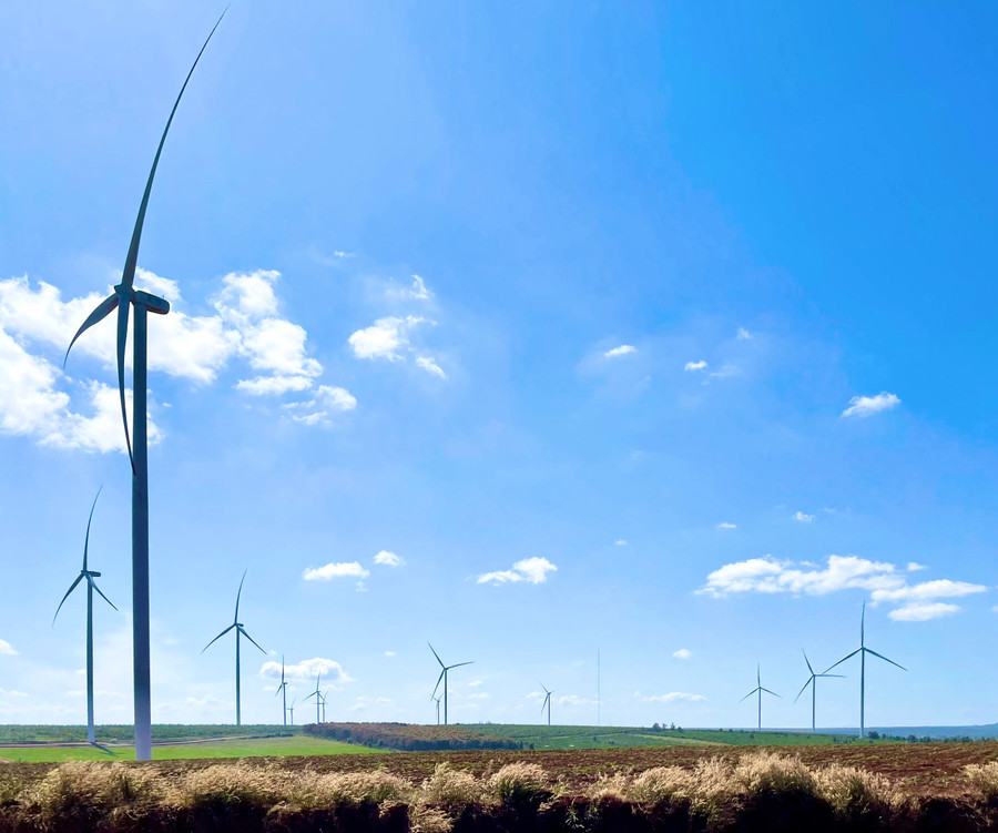 Năm 2024, ngành Ngân hàng tỉnh tập trung nguồn vốn tín dụng vào các ngành, lĩnh vực có tiềm năng, lợi thế cạnh tranh của Gia Lai. Ảnh: S.C Năm 2024, ngành Ngân hàng tỉnh tập trung nguồn vốn tín dụng vào các ngành, lĩnh vực có tiềm năng, lợi thế cạnh tranh của Gia Lai. Ảnh: S.C