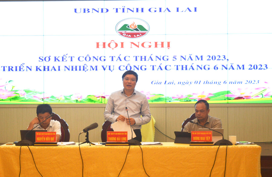 Chủ tịch UBND tỉnh Trương Hải Long kết luận hội nghị. Ảnh: Phương Dung Chủ tịch UBND tỉnh Trương Hải Long kết luận hội nghị. Ảnh: Phương Dung