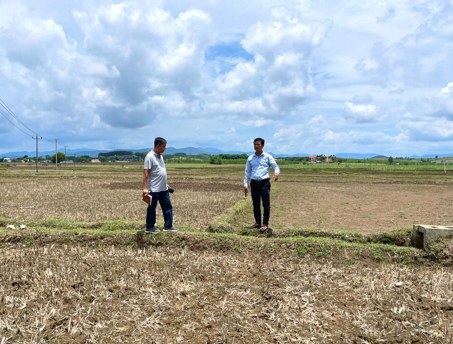 Vụ mùa năm nay, 54 hộ đồng bào Bahnar ở làng Jun (xã Yang Bắc) sẽ huyện được hỗ trợ chuyển đổi giống lúa chất lượng cao, năng suất vượt trội vào sản xuất nhằm tăng sản lượng và thu nhập. Ảnh: Minh Nguyễn