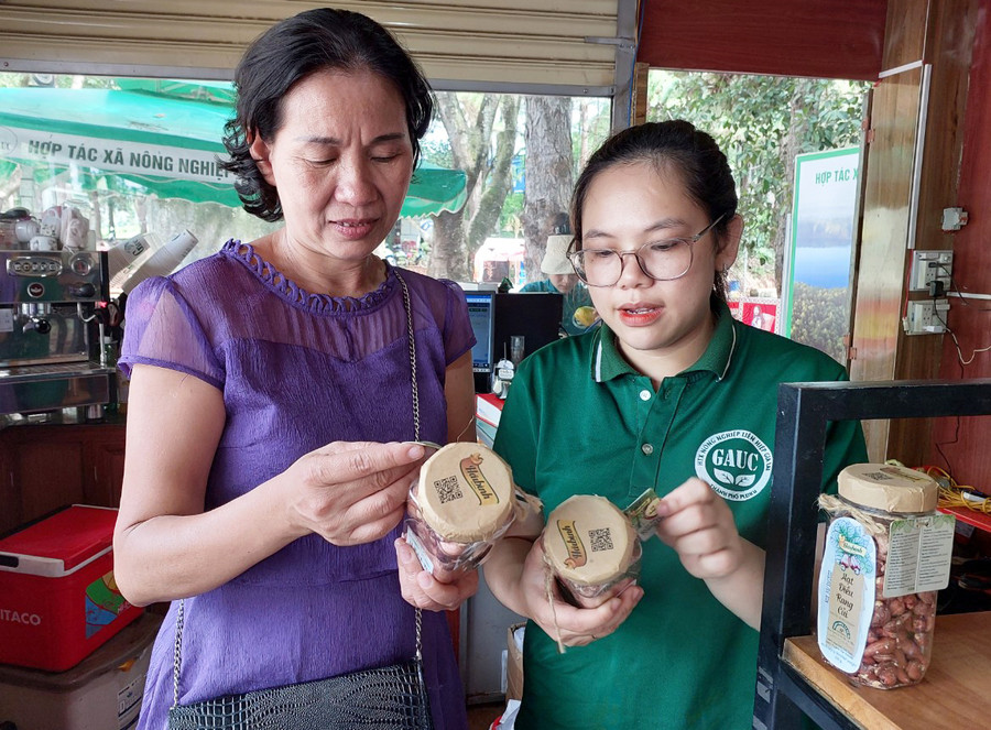 Khách du lịch tìm hiểu sản phẩm hạt điều rang củi Hải Bình Gia Lai tại Khu du lịch Biển Hồ. Ảnh: Nguyễn Hồng Khách du lịch tìm hiểu sản phẩm hạt điều rang củi Hải Bình Gia Lai tại Khu du lịch Biển Hồ. Ảnh: Nguyễn Hồng