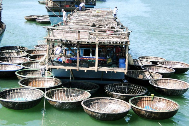 Tàu câu mực như những ngôi nhà nổi giữa Trường Sa. Ảnh: Văn Chương Nhà nổi ở Trường Sa ảnh 1