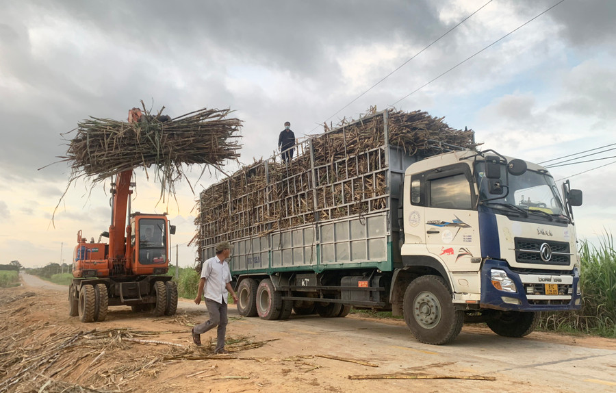 Người dân Ia Pa tích cực áp dụng cơ giới hóa vào sản xuất góp phần nâng cao năng suất lao động. Ảnh: Vũ Chi