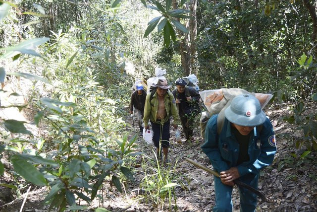 Đoàn điều tra và người dân địa phương đã khảo sát các khu rừng tại xã Phú Mỡ Đoàn điều tra và người dân địa phương đã khảo sát các khu rừng tại xã Phú Mỡ
