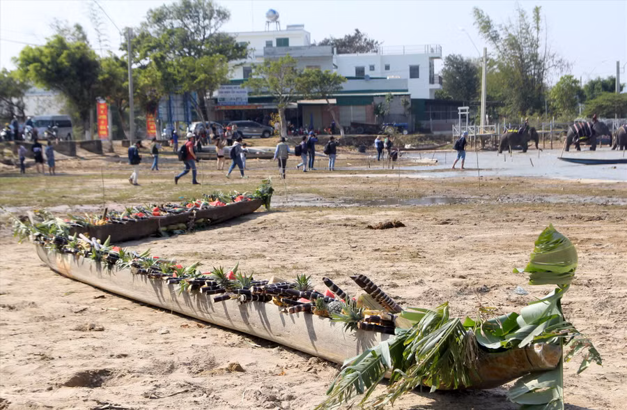 Chính quyền địa phương chuẩn bị tiệc buffet để chiêu đãi cho đàn voi nhà ở địa phương. Ảnh: Phan Tuấn