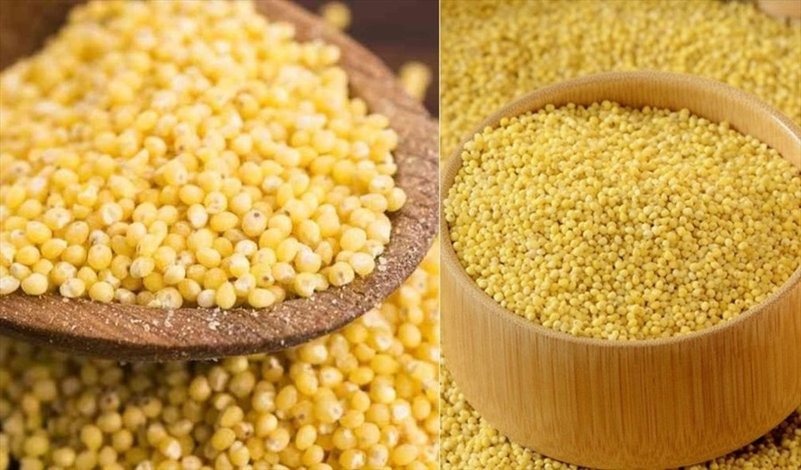 Hạt kê mang lại nhiều lợi ích đối với sức khỏe. Đồ họa: Thanh Thanh