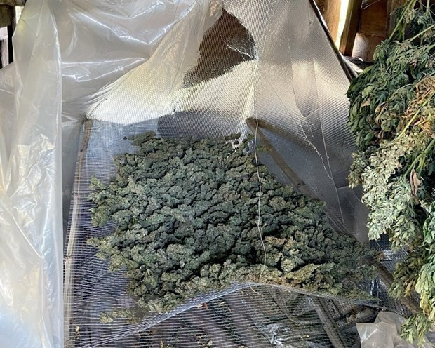 Tang vật vụ việc. Ảnh: TTXVN phát