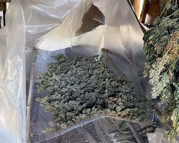 Tang vật vụ việc. Ảnh: TTXVN phát Tang vật vụ việc. Ảnh: TTXVN phát