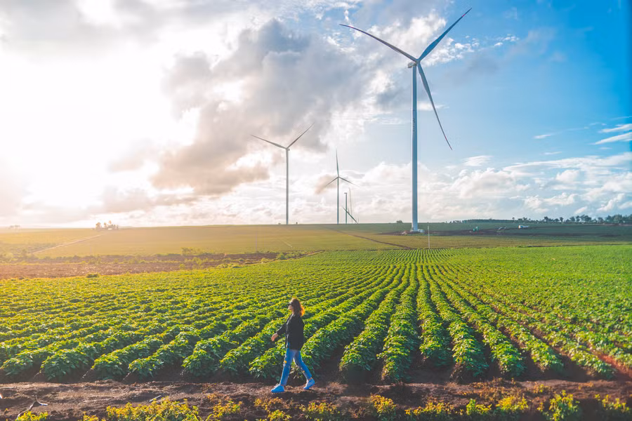 Gia Lai đã vượt qua khó khăn, vươn lên đạt những thành tích mới trên các lĩnh vực kinh tế-xã hội. Ảnh: Phạm Quý