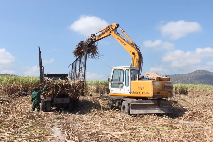 Việc tận dụng nguồn phụ phẩm trong nông nghiệp là hướng đi tiềm năng để phát triển điện sinh khối. Ảnh: Vũ Thảo Việc tận dụng nguồn phụ phẩm trong nông nghiệp là hướng đi tiềm năng để phát triển điện sinh khối. Ảnh: Vũ Thảo