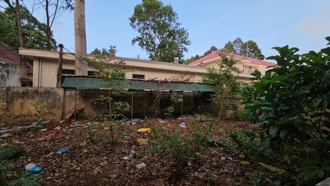 Phía sau trụ sở cũng ngập tràn rác.