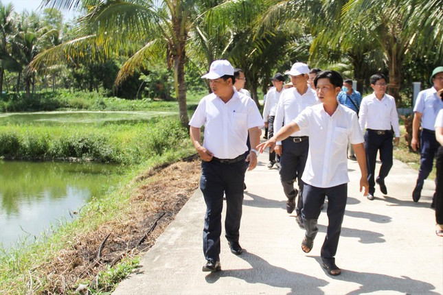 Anh Cao Văn Tới (bìa phải) giới thiệu với đoàn tham quan của lãnh đạo thành phố về khu nuôi cá tập trung của các hộ trên địa bàn