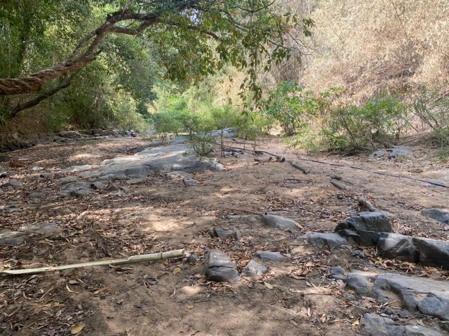 Khu vực lòng hồ của dự án hồ chứa nước Ka Pét đang khô khốc. Khu vực lòng hồ của dự án hồ chứa nước Ka Pét đang khô khốc.