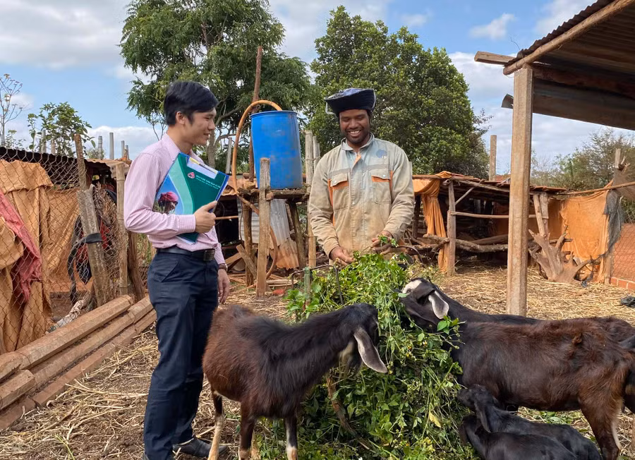 Nguồn vốn ưu đãi của Nhà nước hỗ trợ bà con DTTS huyện Đak Đoa phát triển chăn nuôi, tăng thu nhập cho gia đình. Ảnh: S.C