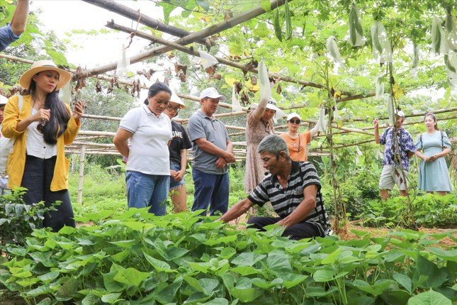Những người nông dân chân lấm tay bùn ở Hòa Bắc không ngờ đến một ngày, vườn rau, ruộng bắp… của mình lại trở thành điểm đón khách du lịch