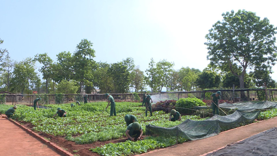 Ý thức tự giác tham gia các nhiệm vụ của chiến sĩ mới được nâng lên. Ảnh: T.D Ý thức tự giác tham gia các nhiệm vụ của chiến sĩ mới được nâng lên. Ảnh: T.D