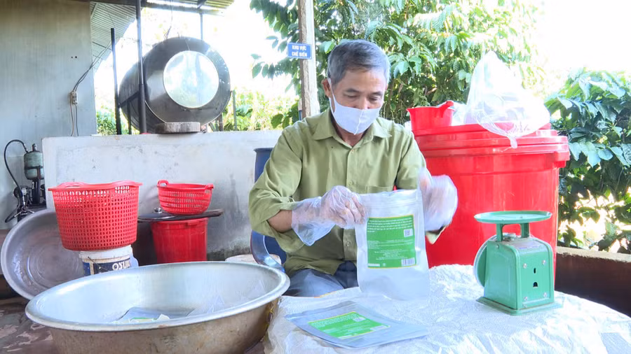 Gia đình anh Đạo chế biến măng tươi thành sản phẩm măng giòn để cung cấp ra thị trường. Ảnh: N.H Gia đình anh Đạo chế biến măng tươi thành sản phẩm măng giòn để cung cấp ra thị trường. Ảnh: N.H