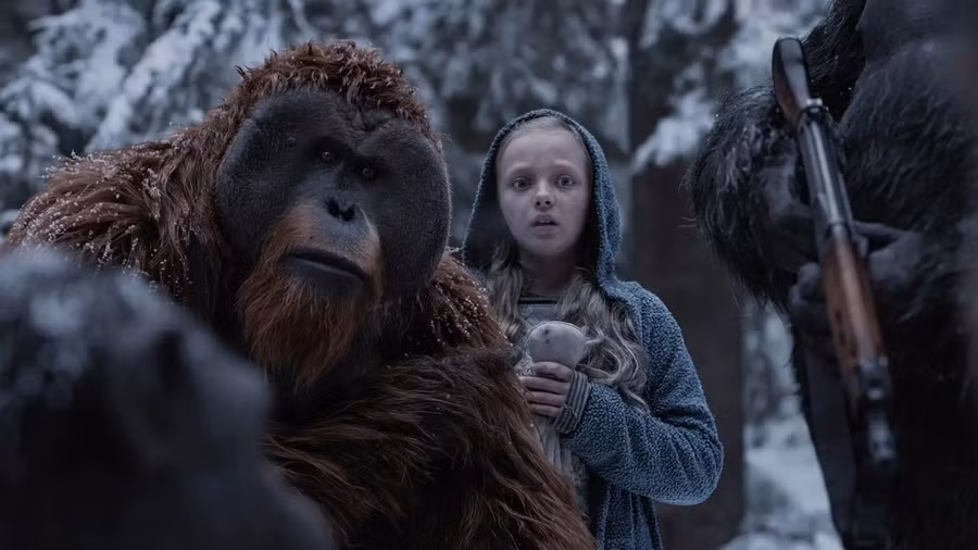 Một vài hình ảnh trong phim. Một vài hình ảnh trong phim.