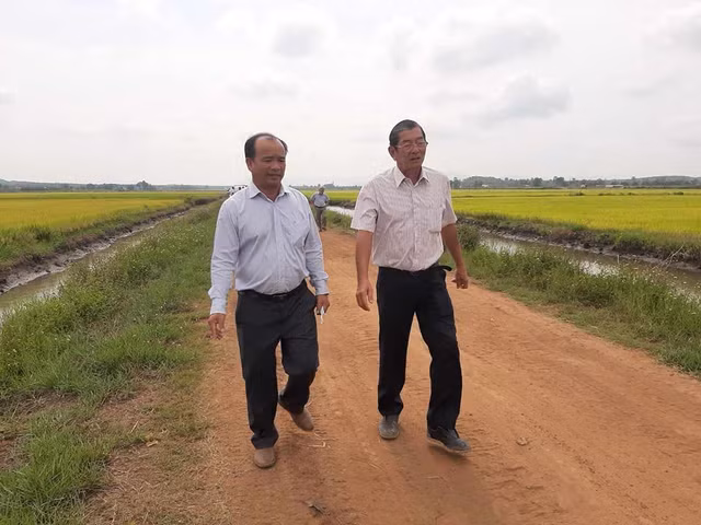 Cha đẻ của giống lúa cho ra gạo ngon nhất thế giới Hồ Quang Cua (phải) trong một chuyến đi tham quan mô hình trồng lúa ST24, ST24 của HTX Thăng Bình