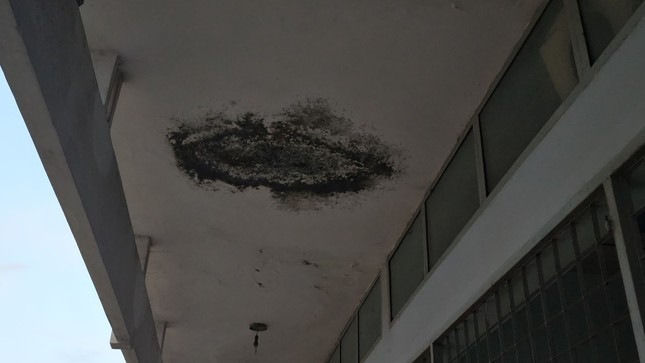 Phía trên trần nhà đã bị ẩm, mốc.