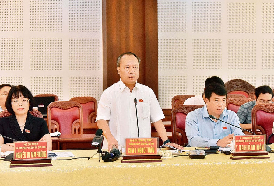 Phó Bí thư Thường trực Tỉnh ủy, Trưởng Đoàn đại biểu Quốc hội tỉnh Châu Ngọc Tuấn phát biểu tại buổi làm việc. Ảnh: Đức Thuỵ