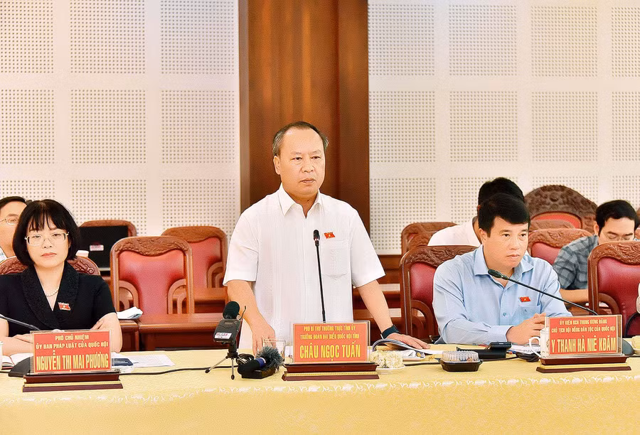 Phó Bí thư Thường trực Tỉnh ủy, Trưởng Đoàn đại biểu Quốc hội tỉnh Châu Ngọc Tuấn phát biểu tại buổi làm việc. Ảnh: Đức Thuỵ
