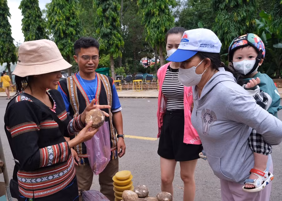 Giới thiệu loại men làm bằng nguyên liệu từ rừng. Ảnh: Hoàng Ngọc