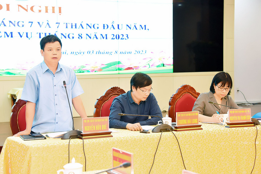 Phó Chủ tịch UBND tỉnh Nguyễn Hữu Quế phát biểu tại hội nghị. Ảnh: Đức Thụy Phó Chủ tịch UBND tỉnh Nguyễn Hữu Quế phát biểu tại hội nghị. Ảnh: Đức Thụy