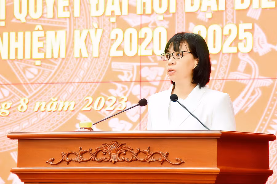 Phó Chủ tịch UBND tỉnh Nguyễn Thị Thanh Lịch báo cáo tham luận tại hội nghị. Ảnh: Đức Thụy