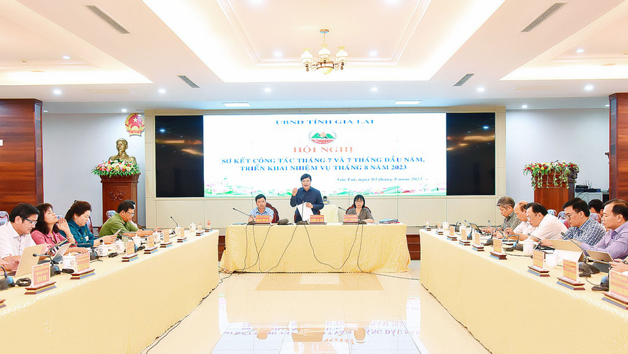Chủ tịch UBND tỉnh Trương Hải Long phát biểu tại hội nghị. Ảnh: Đ.T